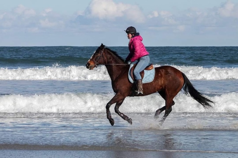 riding a horse on the beach