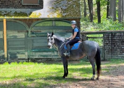 grey horse with young girl