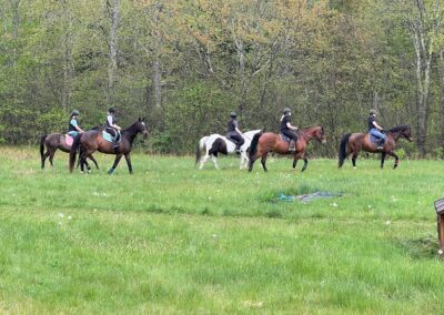 group of 5 horses with riders