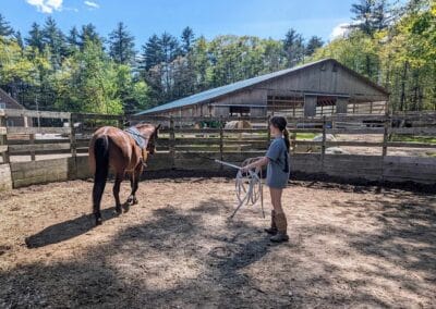 young girl walking horse